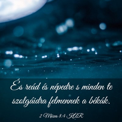 Picture 03 - 2 Mózes 8:4 KAR - És reád és népedre s minden te szolgáidra - Bible Verse Picture