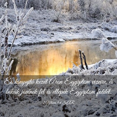 Picture 03 - 2 Mózes 8:6 KAR - És kinyujtá kezét Áron Égyiptom vizeire, és - Bible Verse Picture