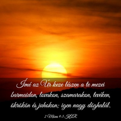 Picture 03 - 2 Mózes 9:3 KAR - Ímé az Úr keze lészen a te mezei barmaidon, - Bible Verse Picture