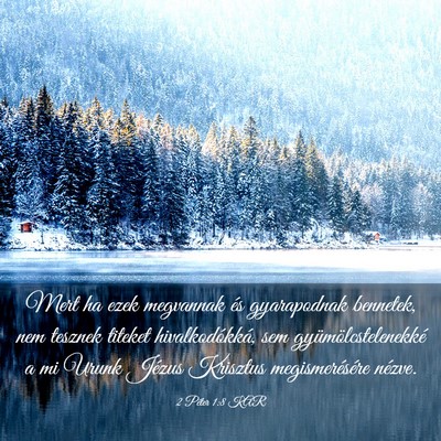 Picture 03 - 2 Péter 1:8 KAR - Mert ha ezek megvannak és gyarapodnak bennetek, - Bible Verse Picture