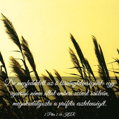 Picture 03 - 2 Péter 2:16 KAR - De megfeddetett az õ törvénytelenségéért: - Bible Verse Picture