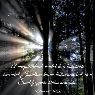 Picture 03 - 2 Sámuel 1:22 KAR - A megöletteknek vérétõl és a hõsöknek - Bible Verse Picture