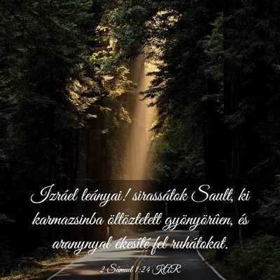 Picture 03 - 2 Sámuel 1:24 KAR - Izráel leányai! sirassátok Sault, ki - Bible Verse Picture
