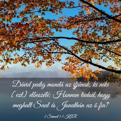 Picture 03 - 2 Sámuel 1:5 KAR - Dávid pedig mondá az ifjúnak, ki néki [ezt] - Bible Verse Picture