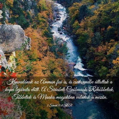 Picture 03 - 2 Sámuel 10:8 KAR - Kivonulának az Ammon fiai is, és csatarendbe - Bible Verse Picture