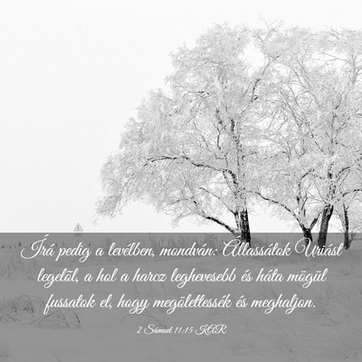 Picture 03 - 2 Sámuel 11:15 KAR - Írá pedig a levélben, mondván: Állassátok - Bible Verse Picture