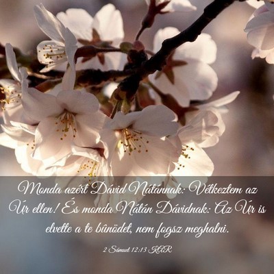 Picture 03 - 2 Sámuel 12:13 KAR - Monda azért Dávid Nátánnak: Vétkeztem az Úr - Bible Verse Picture