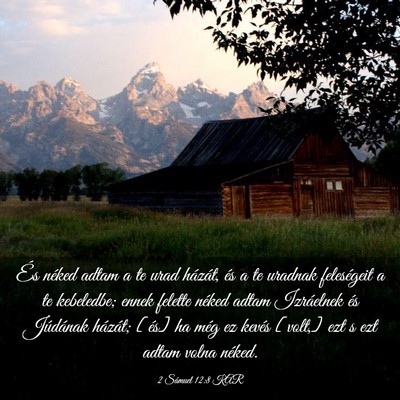 Picture 03 - 2 Sámuel 12:8 KAR - És néked adtam a te urad házát, és a te - Bible Verse Picture