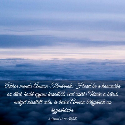Picture 03 - 2 Sámuel 13:10 KAR - Akkor monda Amnon Támárnak: Hozd be a kamarába - Bible Verse Picture