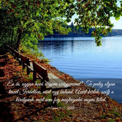 Picture 03 - 2 Sámuel 13:13 KAR - És én, ugyan hová vigyem szégyenemet? Te - Bible Verse Picture