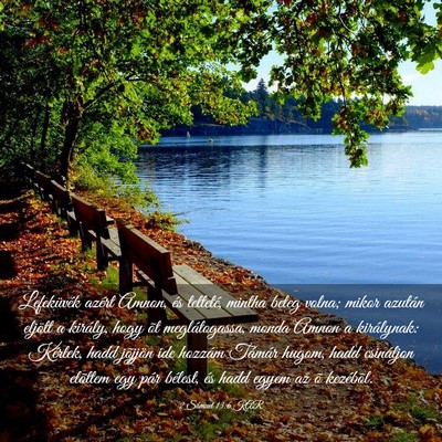 Picture 03 - 2 Sámuel 13:6 KAR - Lefeküvék azért Amnon, és tetteté, mintha - Bible Verse Picture
