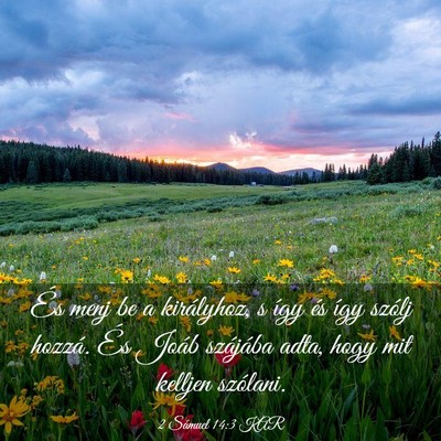 Picture 03 - 2 Sámuel 14:3 KAR - És menj be a királyhoz, s így és így szólj - Bible Verse Picture