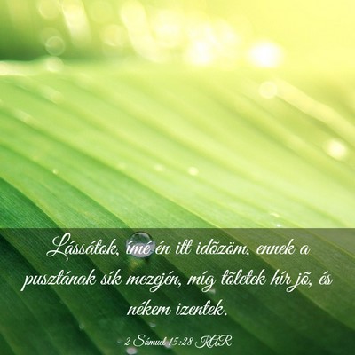 Picture 03 - 2 Sámuel 15:28 KAR - Lássátok, ímé én itt idõzöm, ennek a - Bible Verse Picture