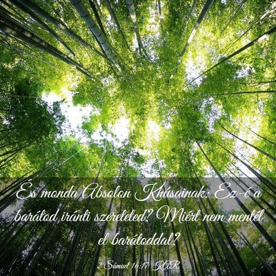 Picture 03 - 2 Sámuel 16:17 KAR - És monda Absolon Khúsainak: Ez-é a barátod - Bible Verse Picture