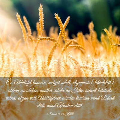 Picture 03 - 2 Sámuel 16:23 KAR - És Akhitófel tanácsa, melyet adott, olyannak - Bible Verse Picture