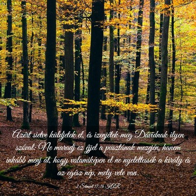 Picture 03 - 2 Sámuel 17:16 KAR - Azért sietve küldjetek el, és izenjétek meg - Bible Verse Picture