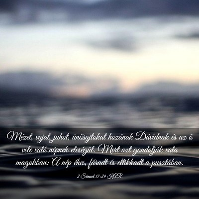 Picture 03 - 2 Sámuel 17:29 KAR - Mézet, vajat, juhot, ünõsajtokat hozának - Bible Verse Picture