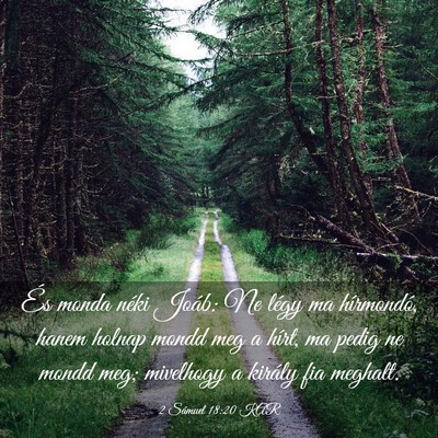 Picture 03 - 2 Sámuel 18:20 KAR - És monda néki Joáb: Ne légy ma hírmondó, - Bible Verse Picture