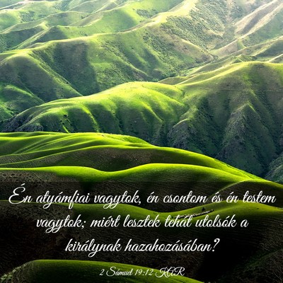 Picture 03 - 2 Sámuel 19:12 KAR - Én atyámfiai vagytok, én csontom és én - Bible Verse Picture