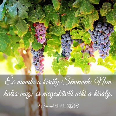 Picture 03 - 2 Sámuel 19:23 KAR - És monda a király Sémeinek: Nem halsz meg; és - Bible Verse Picture