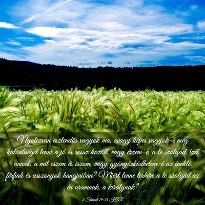 Picture 03 - 2 Sámuel 19:35 KAR - Nyolczvan esztendõs vagyok ma, avagy képes - Bible Verse Picture