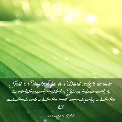 Picture 03 - 2 Sámuel 2:13 KAR - Joáb is Sérujának fia, és a Dávid szolgái - Bible Verse Picture