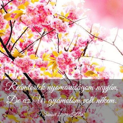 Picture 03 - 2 Sámuel 22:19 KAR - Reámtörtek nyomorúságom napján, De az Úr - Bible Verse Picture