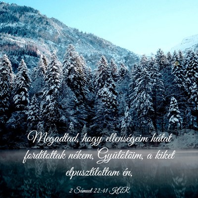 Picture 03 - 2 Sámuel 22:41 KAR - Megadtad, hogy ellenségeim hátat fordítottak - Bible Verse Picture