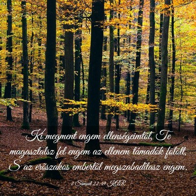 Picture 03 - 2 Sámuel 22:49 KAR - Ki megment engem ellenségeimtõl, Te magasztalsz - Bible Verse Picture