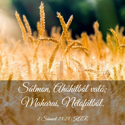 Picture 03 - 2 Sámuel 23:28 KAR - Sálmon, Ahóhitból való; Maharai, - Bible Verse Picture