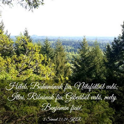 Picture 03 - 2 Sámuel 23:29 KAR - Héleb, Bahanának fia, Nétofátból való; - Bible Verse Picture