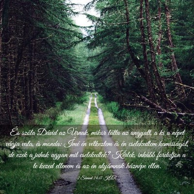 Picture 03 - 2 Sámuel 24:17 KAR - És szóla Dávid az Úrnak, mikor látta az - Bible Verse Picture