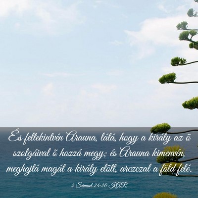 Picture 03 - 2 Sámuel 24:20 KAR - És feltekintvén Arauna, látá, hogy a király - Bible Verse Picture