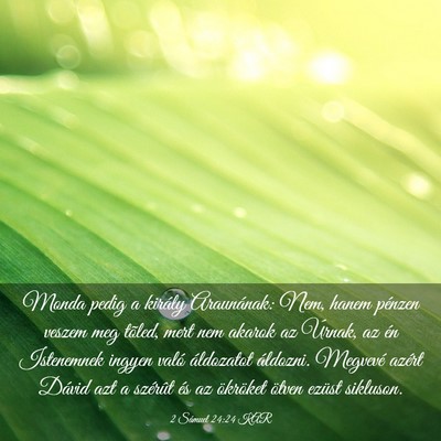 Picture 03 - 2 Sámuel 24:24 KAR - Monda pedig a király Araunának: Nem, hanem - Bible Verse Picture