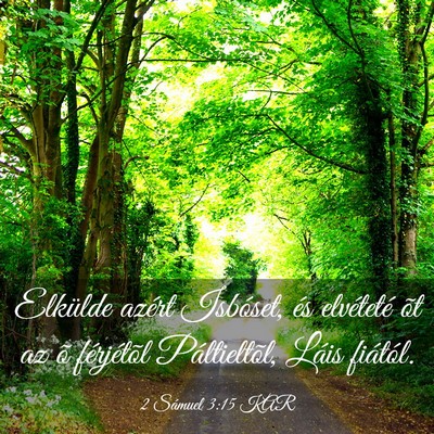Picture 03 - 2 Sámuel 3:15 KAR - Elkülde azért Isbóset, és elvéteté õt az - Bible Verse Picture