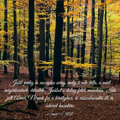 Picture 03 - 2 Sámuel 3:23 KAR - Joáb pedig és az egész sereg, mely õ vele - Bible Verse Picture