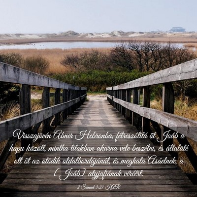 Picture 03 - 2 Sámuel 3:27 KAR - Visszajövén Abner Hebronba, félreszólítá - Bible Verse Picture