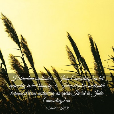 Picture 03 - 2 Sámuel 5:5 KAR - Hebronban uralkodék a Júda [nemzetség]én hét - Bible Verse Picture