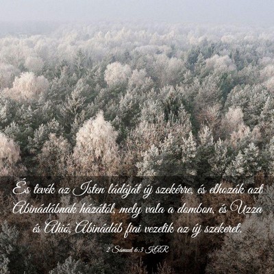 Picture 03 - 2 Sámuel 6:3 KAR - És tevék az Isten ládáját új szekérre, és - Bible Verse Picture