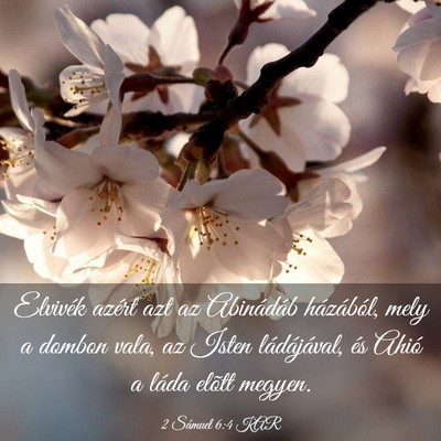 Picture 03 - 2 Sámuel 6:4 KAR - Elvivék azért azt az Abinádáb házából, - Bible Verse Picture