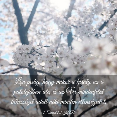 Picture 03 - 2 Sámuel 7:1 KAR - Lõn pedig, hogy mikor a király az õ - Bible Verse Picture