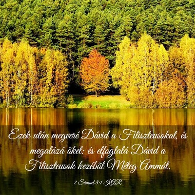 Picture 03 - 2 Sámuel 8:1 KAR - Ezek után megveré Dávid a Filiszteusokat, és - Bible Verse Picture