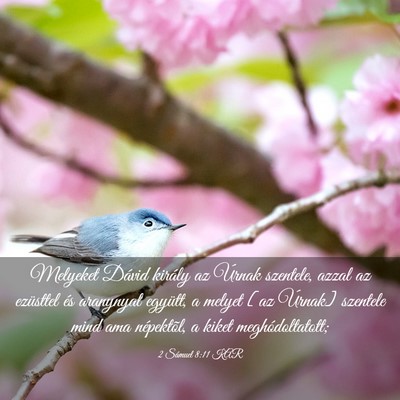 Picture 03 - 2 Sámuel 8:11 KAR - Melyeket Dávid király az Úrnak szentele, azzal - Bible Verse Picture