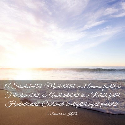 Picture 03 - 2 Sámuel 8:12 KAR - A Siriabeliektõl, Moábitáktól, az Ammon - Bible Verse Picture