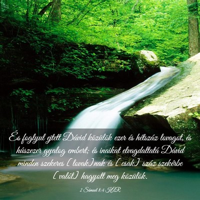 Picture 03 - 2 Sámuel 8:4 KAR - És foglyul ejtett Dávid közülök ezer és - Bible Verse Picture