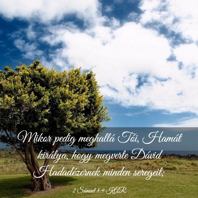 Picture 03 - 2 Sámuel 8:9 KAR - Mikor pedig meghallá Tói, Hamát királya, hogy - Bible Verse Picture