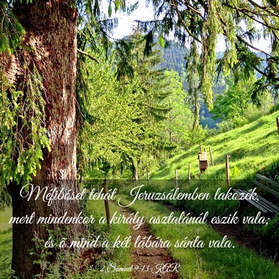 Picture 03 - 2 Sámuel 9:13 KAR - Méfibóset tehát Jeruzsálemben lakozék, mert - Bible Verse Picture