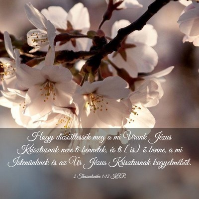 Picture 03 - 2 Thesszalonika 1:12 KAR - Hogy dicsõíttessék meg a mi Urunk Jézus - Bible Verse Picture
