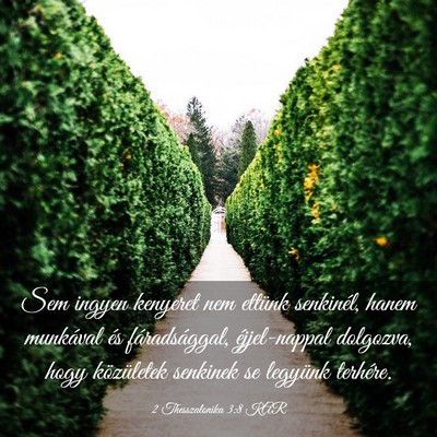Picture 03 - 2 Thesszalonika 3:8 KAR - Sem ingyen kenyeret nem ettünk senkinél, hanem - Bible Verse Picture