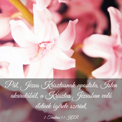 Picture 03 - 2 Timóteus 1:1 KAR - Pál, Jézus Krisztusnak apostola, Isten - Bible Verse Picture